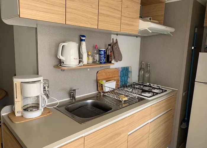 Le Parc Des Roselieres 40 Hilaire De Riez Saint-Hilaire-de-Riez